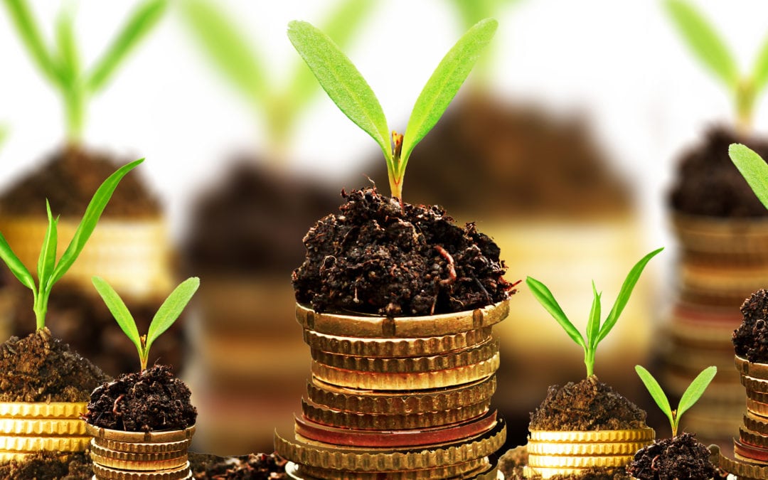 Brickendon achieves 300% growth